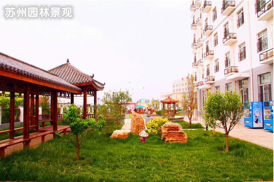 1574145070057053541.jpg 1574145070057053541.jpg