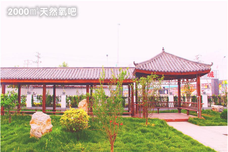 1574145087010059220.jpg 1574145087010059220.jpg