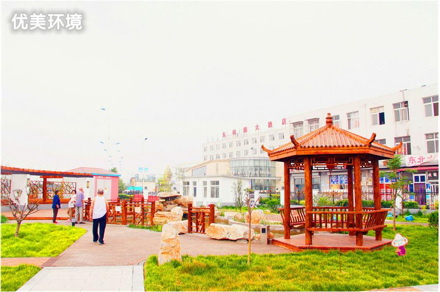 1574145103572019340.jpg 1574145103572019340.jpg