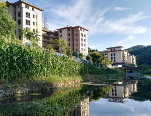 1574154714712000333.png QQ截圖20191119170506.png