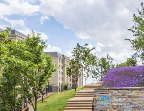 1574326183594068864.png QQ截圖20191121164932.png