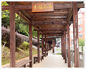 1574391896823012040.jpg 1574391896823012040.jpg