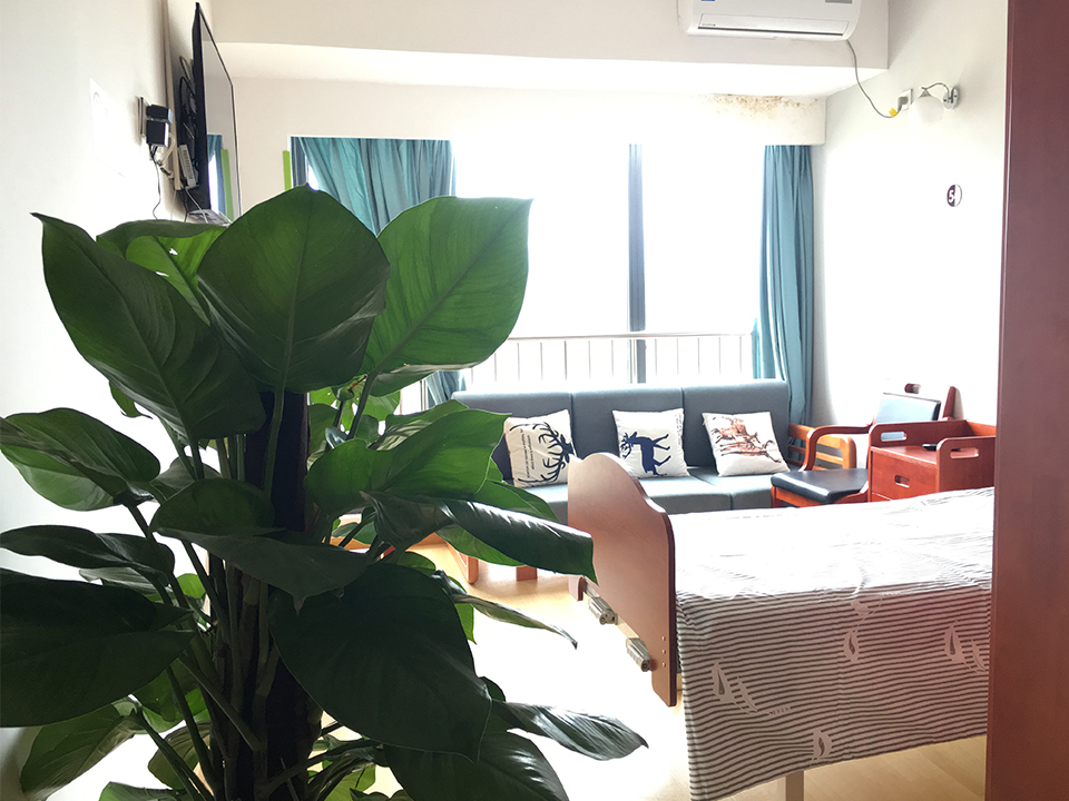 1574478241231024673.jpg 1574478241231024673.jpg