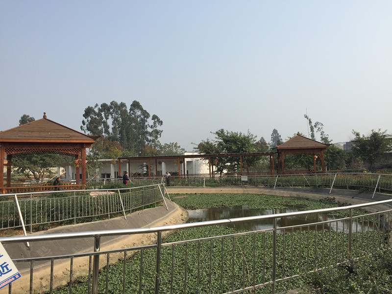 1574737843876090925.jpg 1574737843876090925.jpg