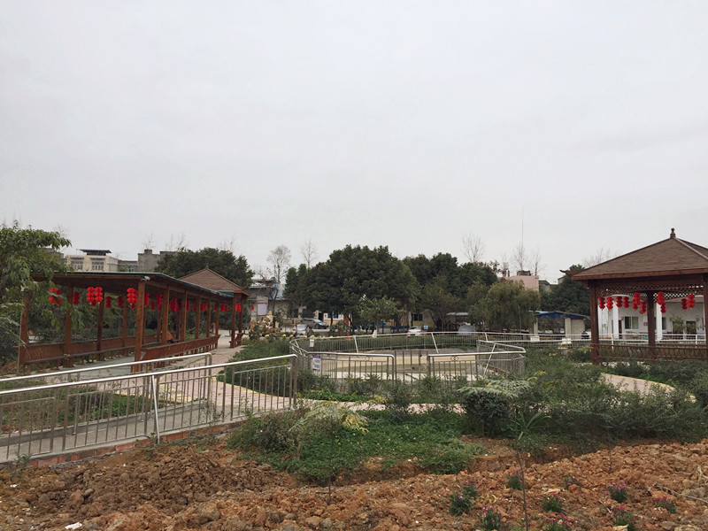 1574737864786035897.jpg 1574737864786035897.jpg