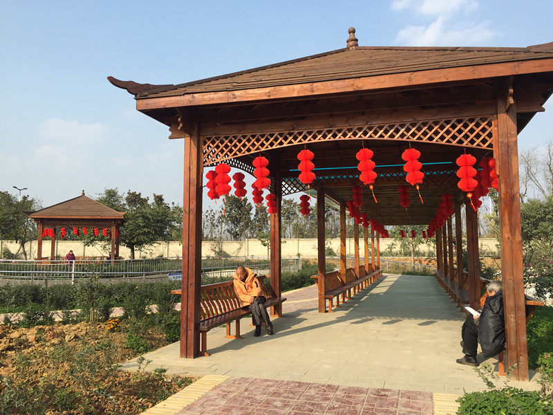 1574737887717053622.jpg 1574737887717053622.jpg