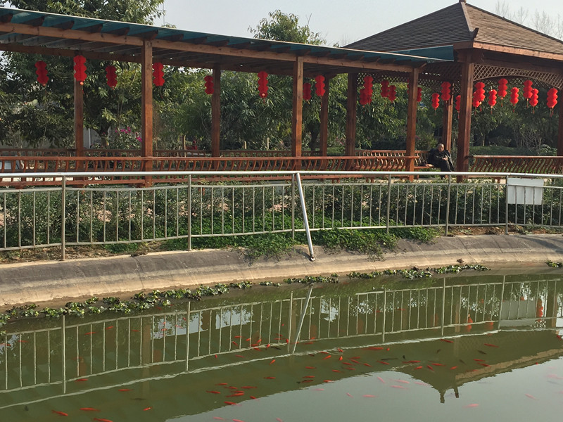 1574737928313032822.jpg 1574737928313032822.jpg