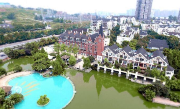 1574824077585006377.png 1574824077585006377.png