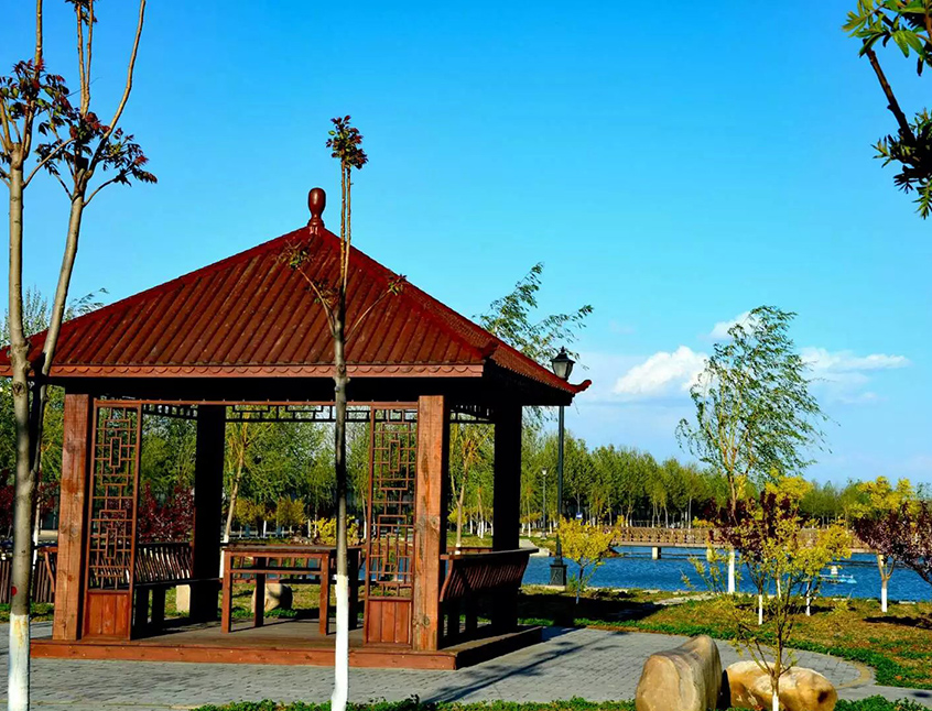 1574848600676010215.jpg 1574848600676010215.jpg