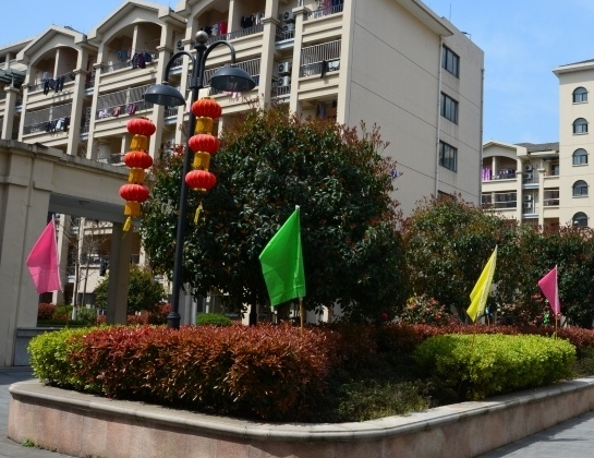 1574901572826033675.png QQ截圖20191128083726.png