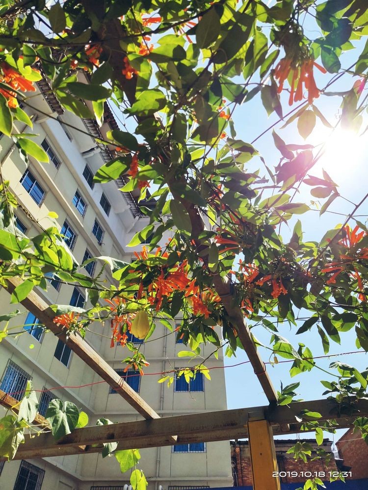 1574918295149041141.jpg 1574918295149041141.jpg