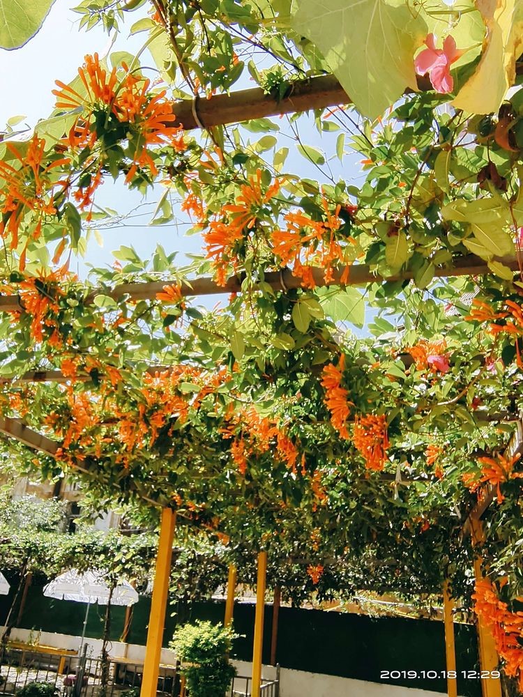 1574918632828091662.jpg 1574918632828091662.jpg