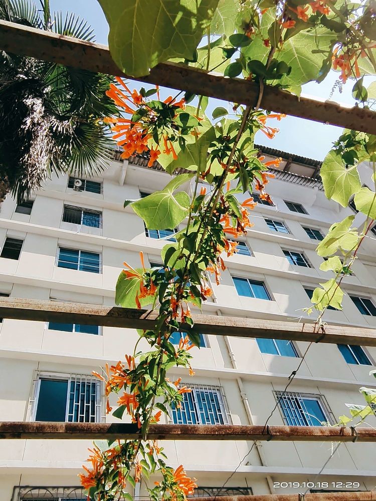 1574918725284034030.jpg 1574918725284034030.jpg