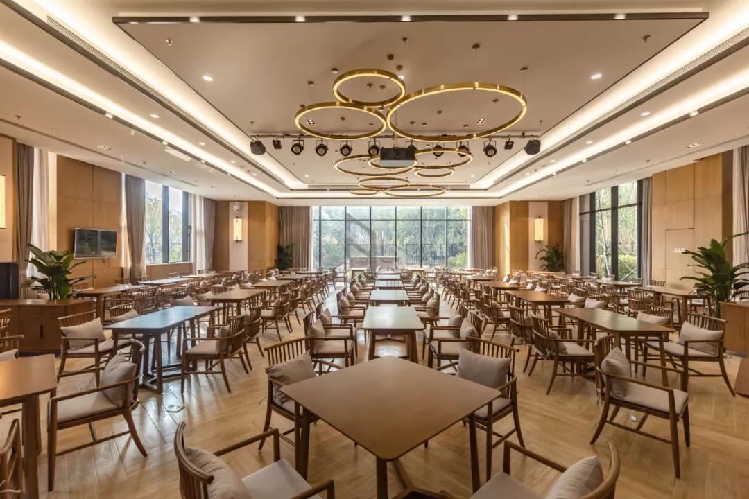 1575082812921023756.jpg 1575082812921023756.jpg