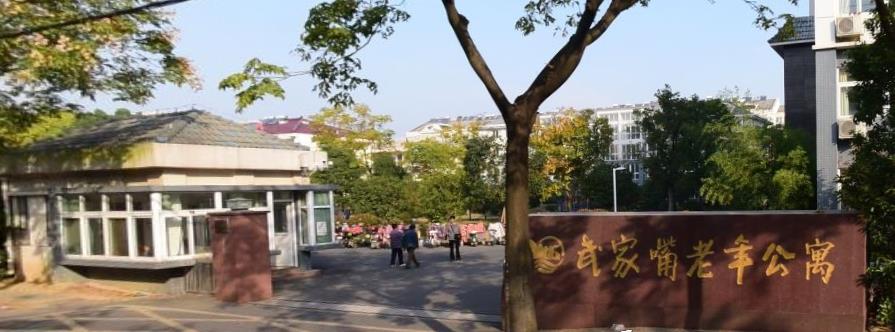 1575095262622087105.jpg 1575095262622087105.jpg