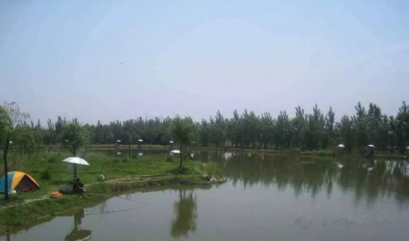 1575351913728010254.jpg 1575351913728010254.jpg