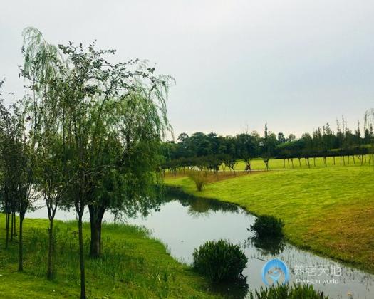 1575431289380038087.jpg 1575431289380038087.jpg