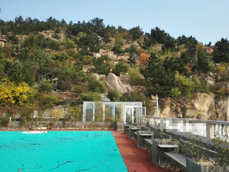 1575613502840051136.jpg 1575613502840051136.jpg