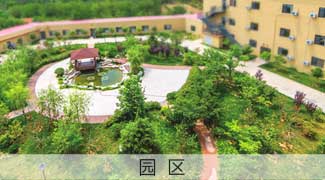 1576651822018076194.jpg 1576651822018076194.jpg