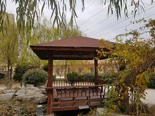 1576651867998022878.jpg 1576651867998022878.jpg