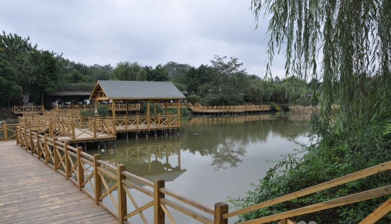 1576830836259005401.jpg 1576830836259005401.jpg