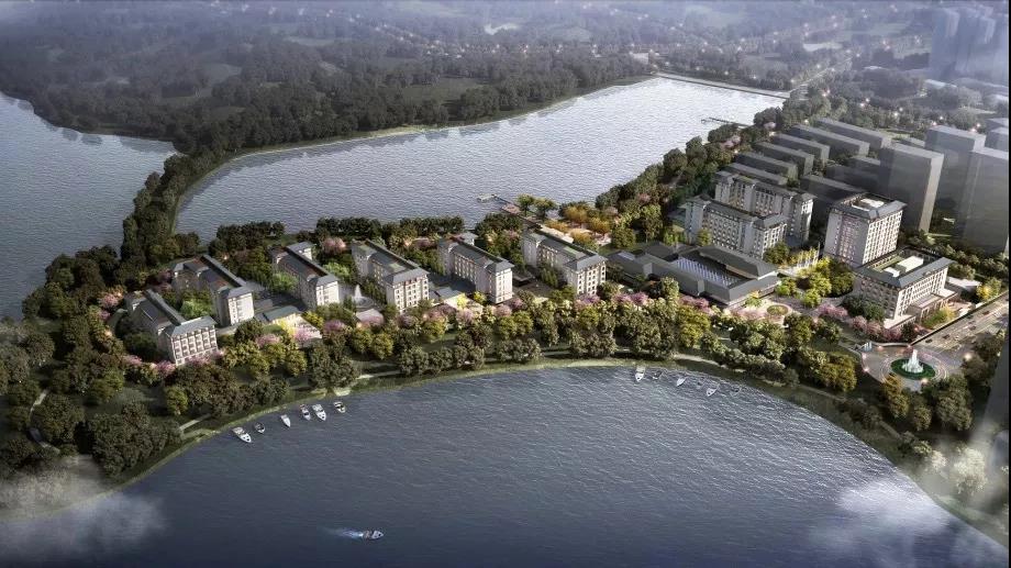 1577068627094037057.jpg 1577068627094037057.jpg