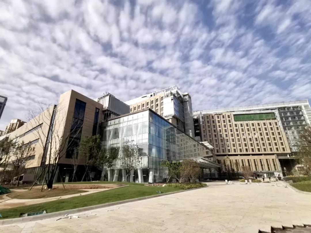 1577068774415001217.jpg 1577068774415001217.jpg