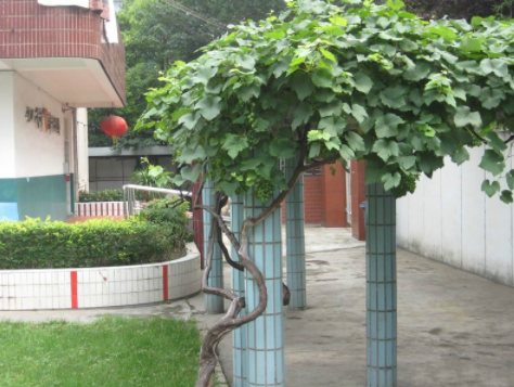 1577152819835064623.png QQ截圖20191224095926.png