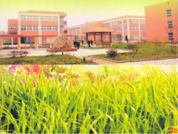 1577240590729015126.jpg 1577240590729015126.jpg