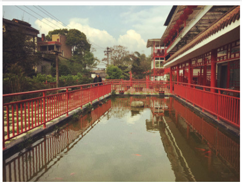 1578015157941017721.png 1578015157941017721.png