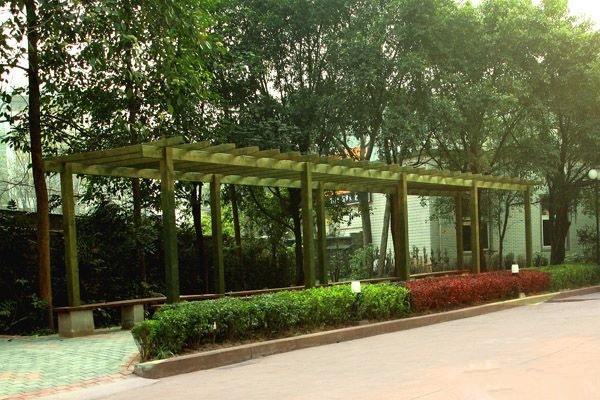 1578032493091038752.jpg 1578032493091038752.jpg