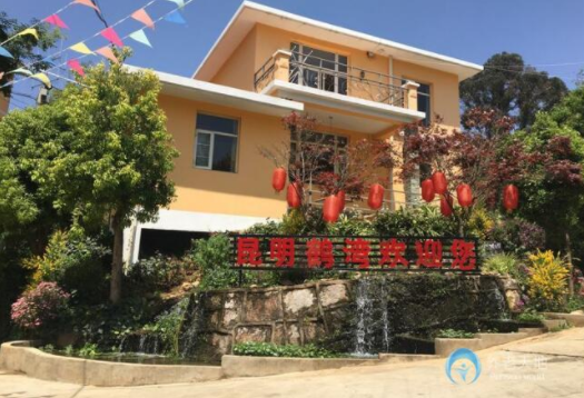 1578364422865005896.png 1.png