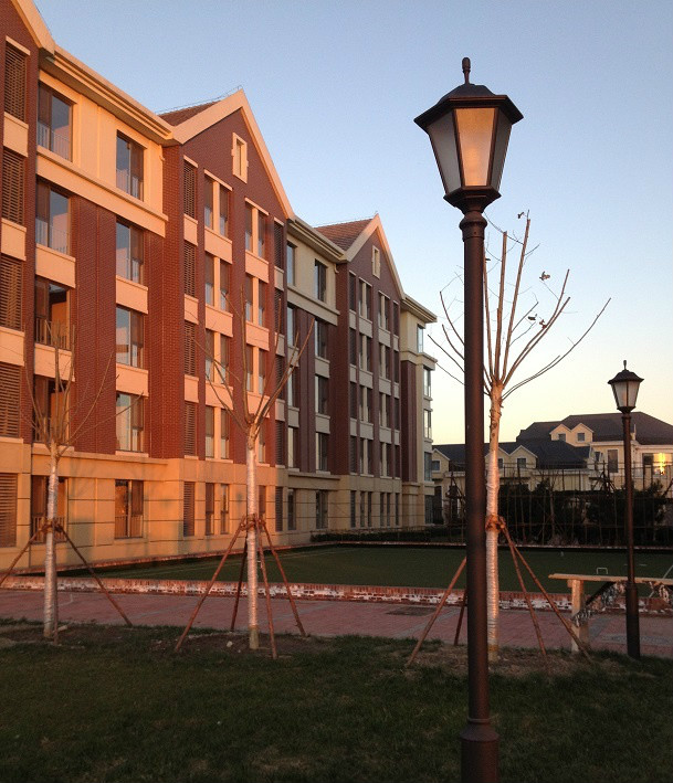 1578558797481080563.jpg 1578558797481080563.jpg