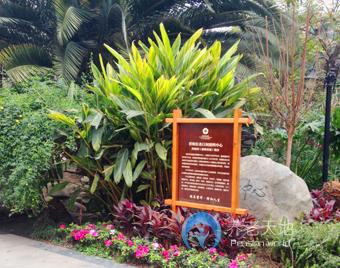 1578894815661024592.jpg 1578894815661024592.jpg