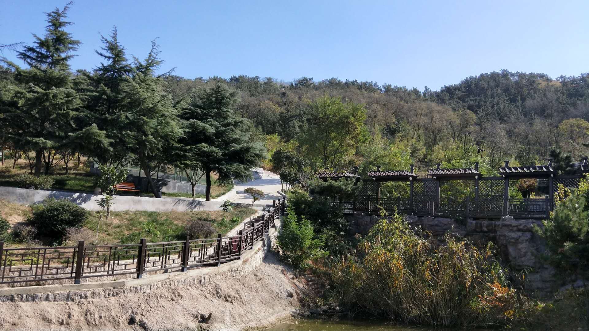 1578988745347079513.jpg 1578988745347079513.jpg