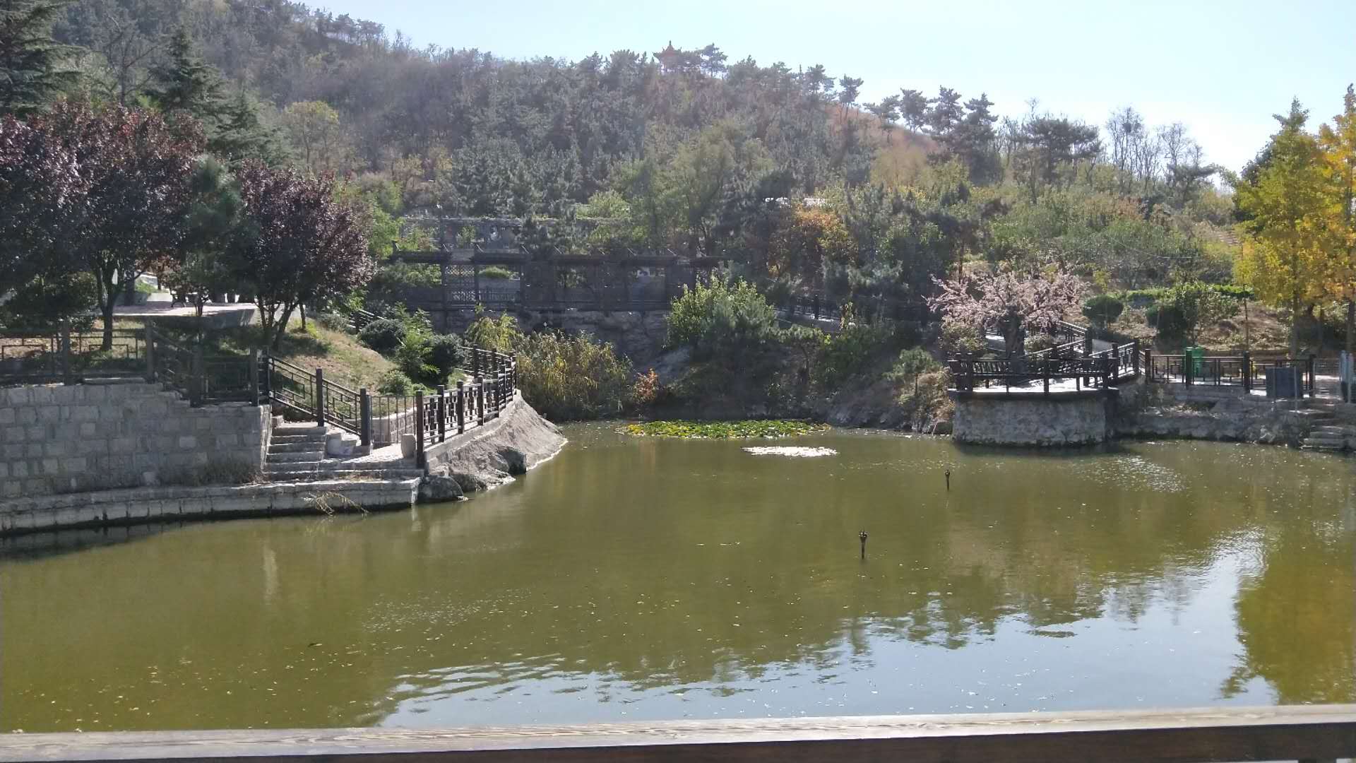 1578988776118031662.jpg 1578988776118031662.jpg