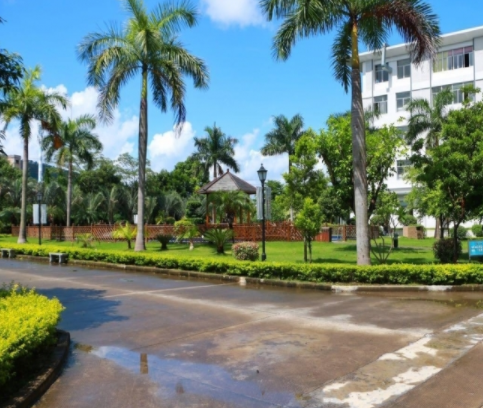 1579152934836082270.png QQ截圖20200116133221.png