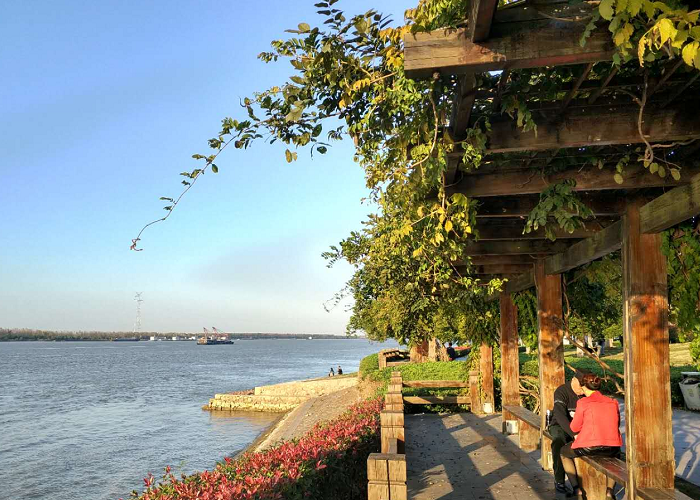 1579156955628022413.png 1579156955628022413.png