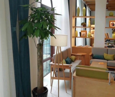 1579164686812092141.png 5.png