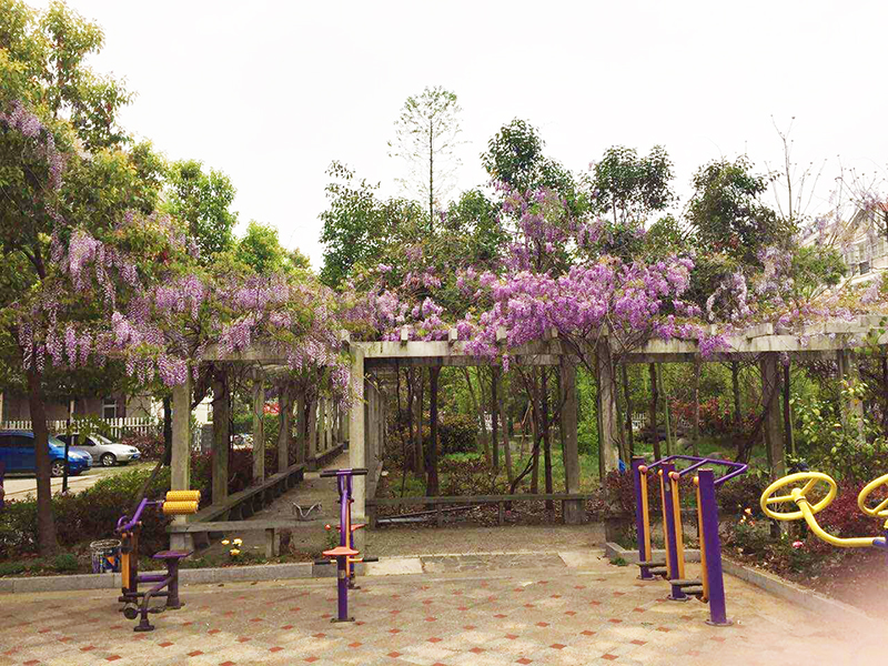 1579165940127007185.jpg 1579165940127007185.jpg