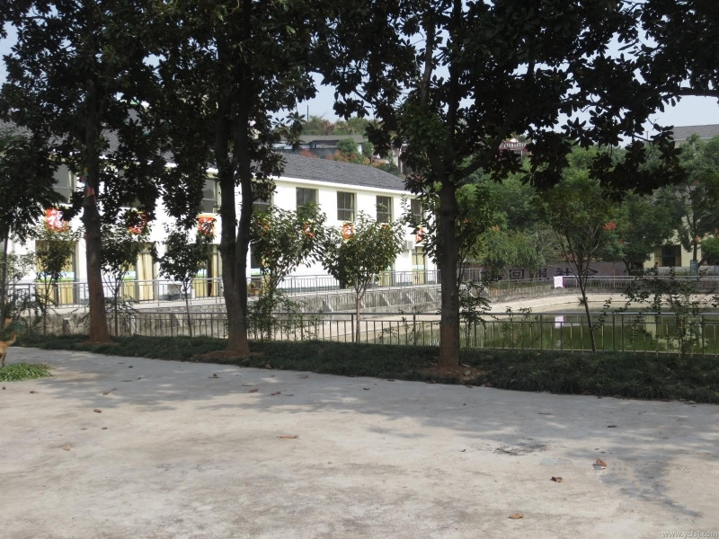 1579316275239017967.jpg 1579316275239017967.jpg