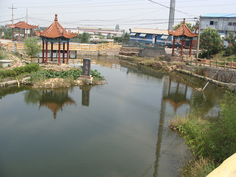 1579401098591027671.jpg 1579401098591027671.jpg