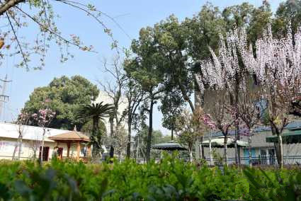 1579415408880070018.jpg 1579415408880070018.jpg