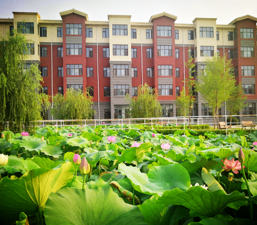 1579485019115038423.png QQ截圖20200120094443.png