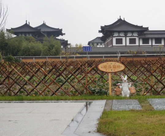 1580958013302042725.png 微信截圖_20200206105211.png