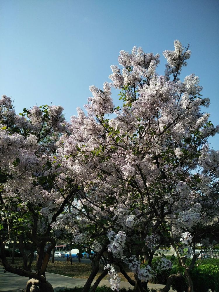 1581408378663093056.jpg 1581408378663093056.jpg