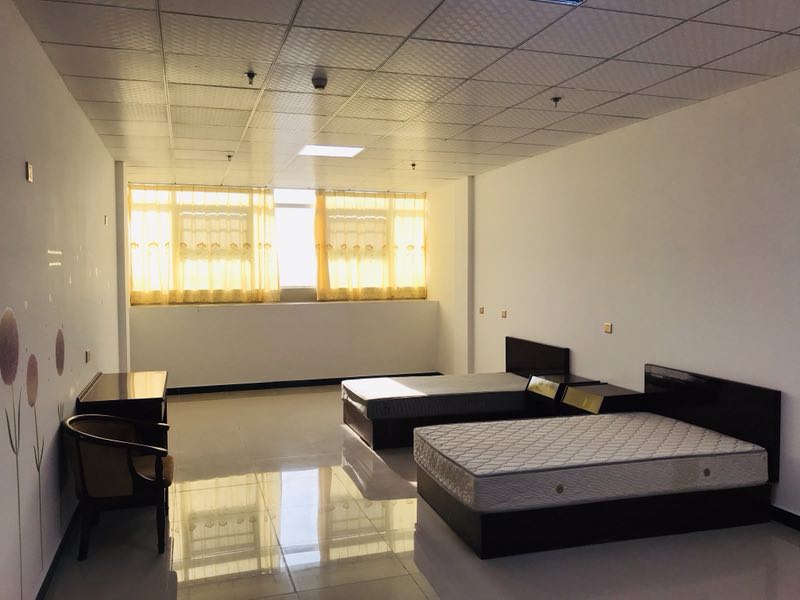 1581408405353070406.jpg 1581408405353070406.jpg