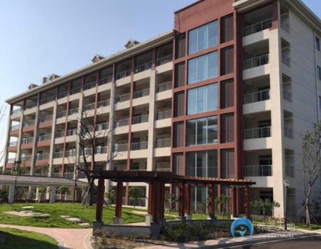 1582258209175066700.png 2.png