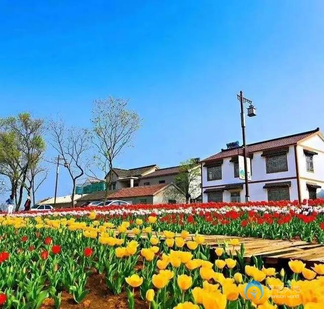 1583551137122096133.jpg 1583551137122096133.jpg