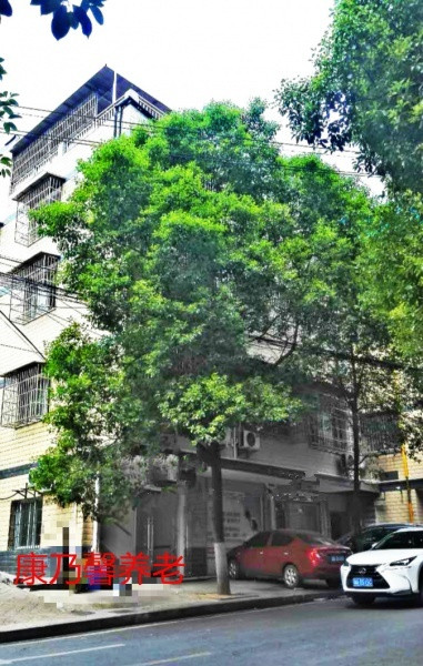 1583636139812031844.jpg 1583636139812031844.jpg